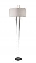 Adesso 4073-22 - Anderson Floor Lamp