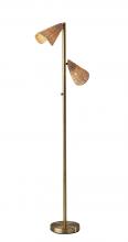 Adesso 5114-21 - Cove Tree Lamp